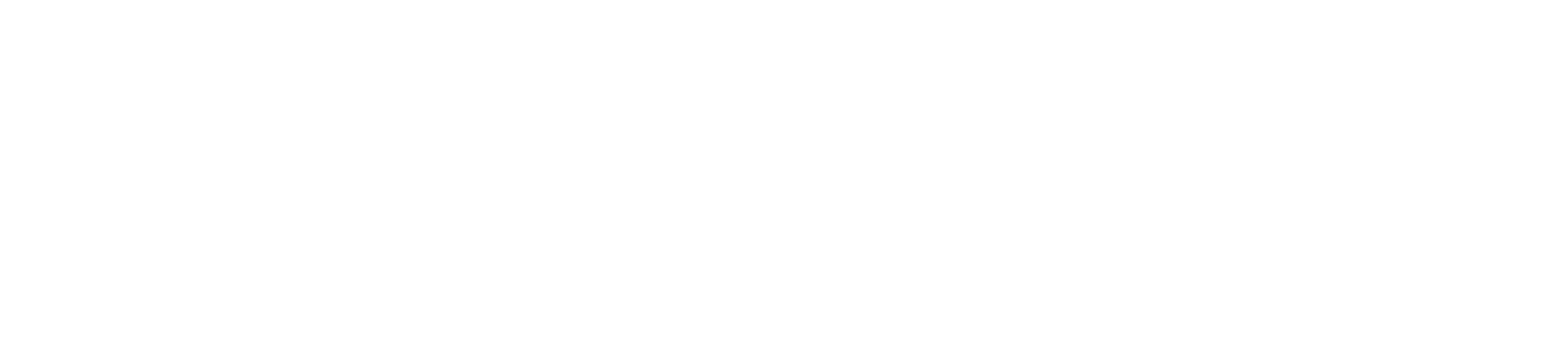 Wed Society_Main Logo-White